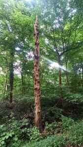 Seguire i ritmi della natura