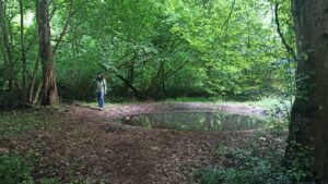 Gli effetti benefici delle immersioni e terapie forestali